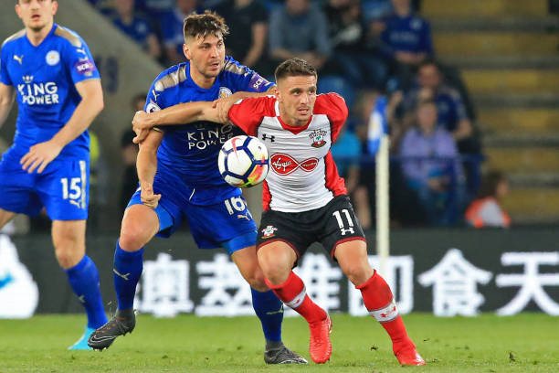 种精神的体 种精神的体