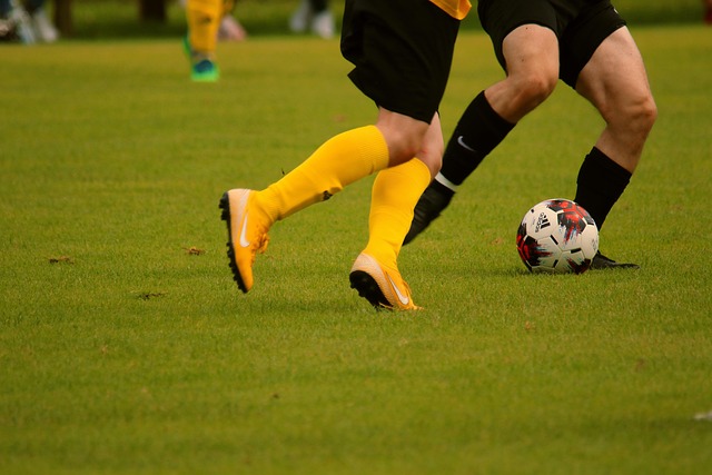 虽然他自称 虽然他自称